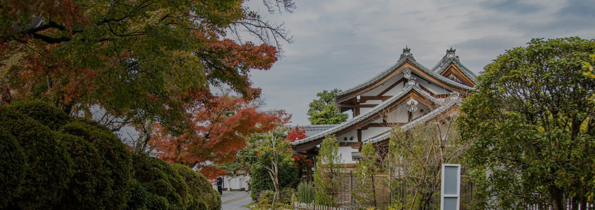 京都觀光情報